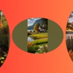 Celebrate Autumn: 11 Stunning Ideas for Fall Flowers in Your Garden