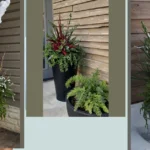 Create a Winter Wonderland: 18 Planter Ideas for Your Front Porch
