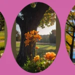 Fiori Autunnali: 11 Idee Per Trasformare Il Tuo Giardino In un Paradiso