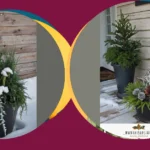 Charming Winter Planters to Make Your Porch Stand Out