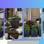 Creative Winter Planters: 18 Simple Ideas for Your Front Porch