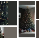 Festive Flair: 13 Velvet Christmas Tree Ideas You Need to Try