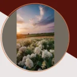 Vintage Dreams: 10 Unique Aesthetic Spaces to Visit