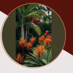 Your Guide to a Tropical Wonderland: 11 Modern Landscape Ideas