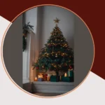 Velvet Dreams: 13 Incredible Christmas Tree Ideas to Brighten Your Holidays