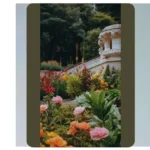 Whimsical Dreams: 20 Fairytale Garden Ideas for Your Backyard