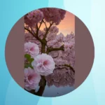 Dreamy Pink Paradise: 17 Aesthetic Tree Ideas to Brighten Your Day