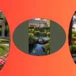 Beyond the Fence: 20 Serene Garden Design Ideas You’ll Love