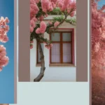 The Art of Pink: 17 Aesthetic Tree Ideas to Enchant Your Space**  
**