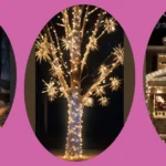 15 Best Outdoor Christmas Lights Ideas to Brighten Up Your Home