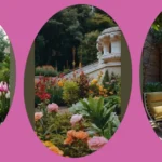 Transform Your Backyard: 20 Modern Garden Ideas for Every Space