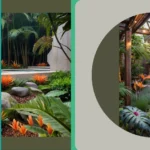 The Ultimate Guide to 20 Tropical Outdoor Garden Ideas