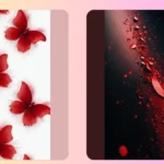 17 Eye-Catching Red Wallpapers to Dress Your iPhone in 2025