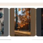 Transform Your Phone with 15 Aesthetic iPhone Wallpaper Designs