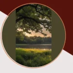 Serene Landscapes: 20 Aesthetic Nature Places to Chill and Thrive