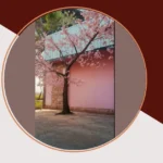 Crafting Your Pink Tree Aesthetic: 17 Unique Ideas for the Dreamy Decorator