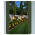 Snazzy Sprouts: 22 Home Front Garden Ideas for a Dazzling Display