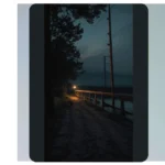 Capturing the Cosmos: 17 Night Photography Ideas for Nature Lovers