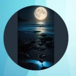 Moonlit Magic: 17 Stunning Night Photography Ideas for Adventurers