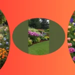 Creative Patio Ideas for a Charming Outdoor Flower Garden