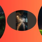 Starry Nights Ahead: 17 Unique Ideas for Nature Photography Enthusiasts