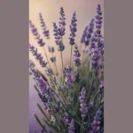 The Lavender Takeover: 15 Adorable Wallpaper Ideas You Can’t Resist