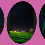 Embrace the Night: 17 Nature Photography Ideas for Stunning Scenery