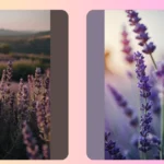 Spruce Up Your Space: 15 Adorable Lavender Wallpaper Ideas