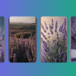 Pastel Purple Paradise: 15 Lavender Wallpaper Ideas To Enchant Your Screens