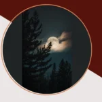 Nocturnal Wonders: 17 Captivating Nature Night Photography Ideas