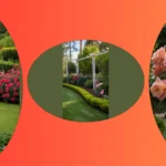 From Backyard Bliss to Front Yard Fame: 18 Rose Garden Design Ideas