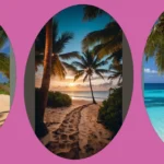 Dive into Paradise: 16 Coconut Beach Wallpaper Ideas for Your Phone