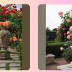 Petal Power: 18 Rose Garden Design Ideas to Charm Your Space