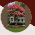 From Tiny to Terraced: 21 Brilliant Home Garden Ideas You’ll Love