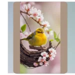 Spruce Up Your Space: 20 Spring Birds Wallpaper Ideas to Inspire