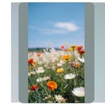 Blooming Moments: 16 Flower Field Photography Ideas for Your Next Shoot