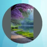 Embrace the Dark Side: 4K Aesthetic Wallpapers for a Tranquil iPhone