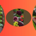 Fabulous Blooms: 18 Seasonal Flower Bed Ideas to Elevate Your Yard