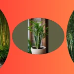 Zen Up Your Space: 21 Bamboo Garden Ideas for Every Home