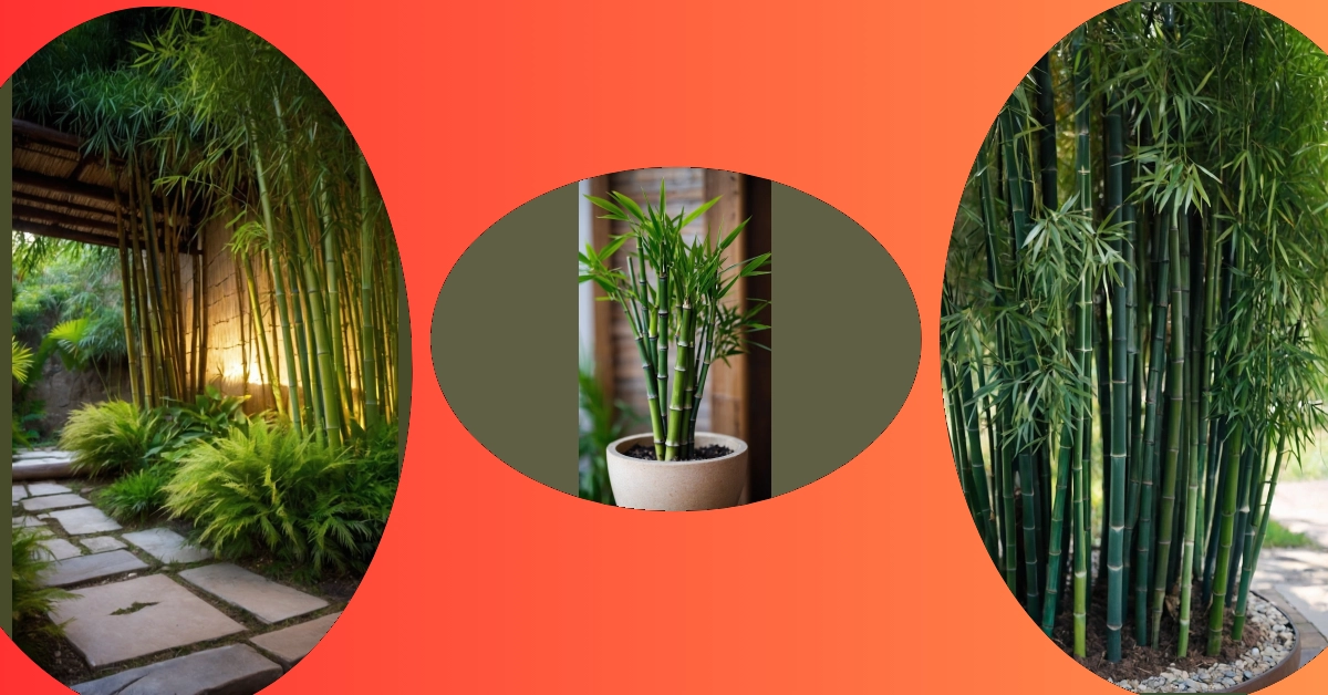 Zen Up Your Space: 21 Bamboo Garden Ideas for Every Home