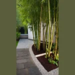 Turn Your House into a Zen Oasis: 21 Bamboo Garden Ideas