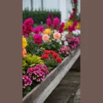 Spring Garden Bliss: 15 Creative Decor Ideas for Everyone!