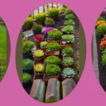 Blooming Marvelous: 18 Seasonal Flower Bed Ideas