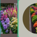 Flower Power: Front House Designs to Make You Smile