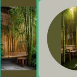 Zen Gardens and Creative Fences: 21 Bamboo Ideas for Everyone