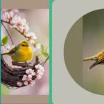 Elevate Your Space with 20 Artistic Spring Birds Wallpaper Inspirations