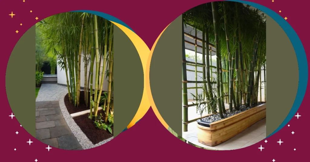 How to Create a Bamboo Oasis: 21 Ideas for Your Garden 31 2 145