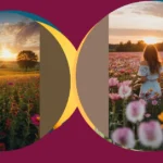 Capture the Magic: 16 Flower Field Photography Ideas