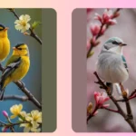 Transform Your Kingdom: 20 Spring Birds Wallpaper Ideas for a Cheerful Home