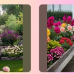 Spring Fling: 15 Amazing Decor Ideas to Elevate Your Garden